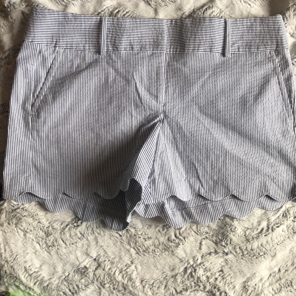 NWT Ann Taylor Sear Sucker Scalloped Edge shorts